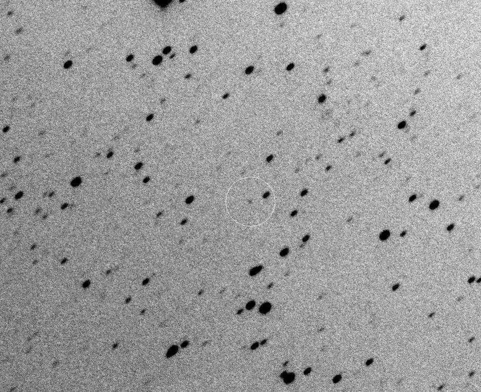 Copyright Francois Kugel