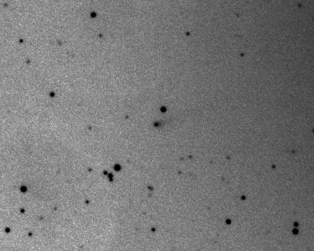 Copyright Francois Kugel