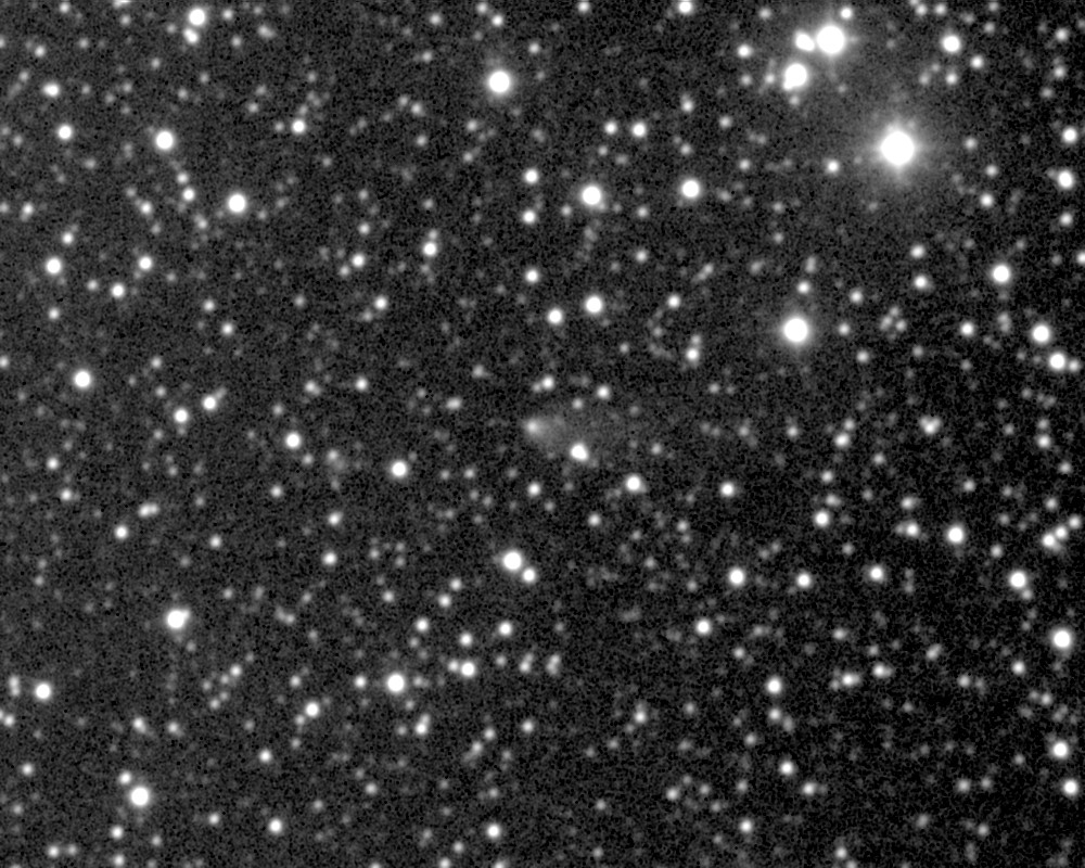 Copyright Francois Kugel