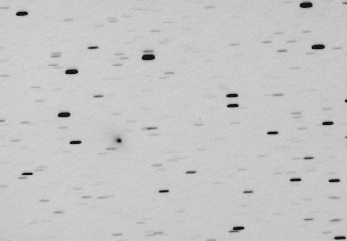 Copyright Maurice Audejean