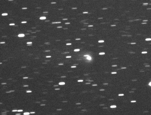 Copyright Joel Nicolas