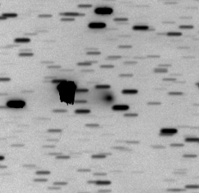 Copyright Francois Kugel