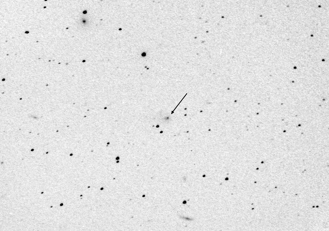 Copyright Maurice Audejean