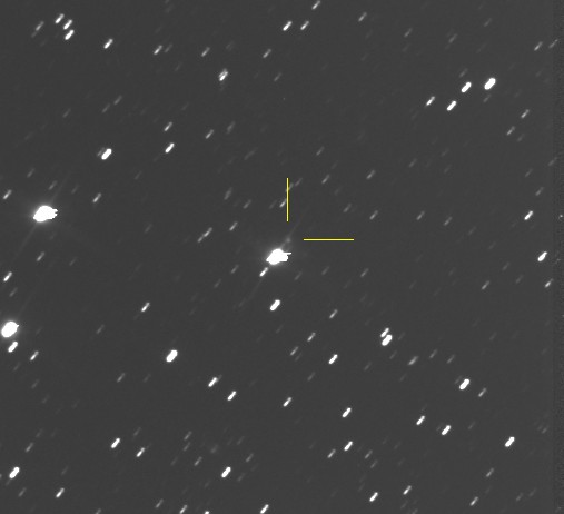 Copyright Thierry Noel