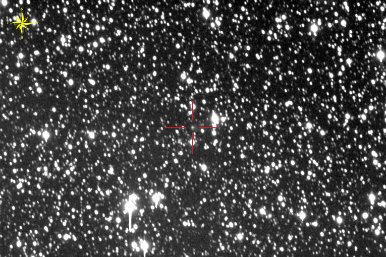 Copyright Gerald Sachot