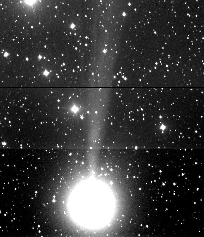 Copyright Joel Nicolas