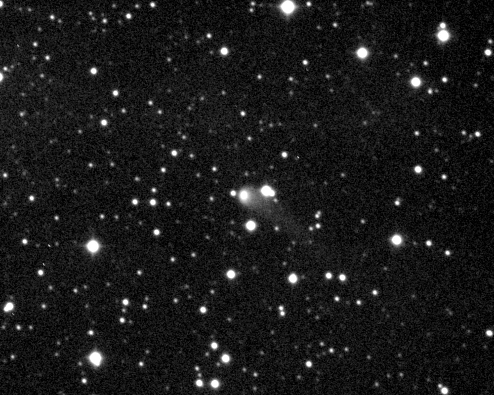 Copyright Francois Kugel