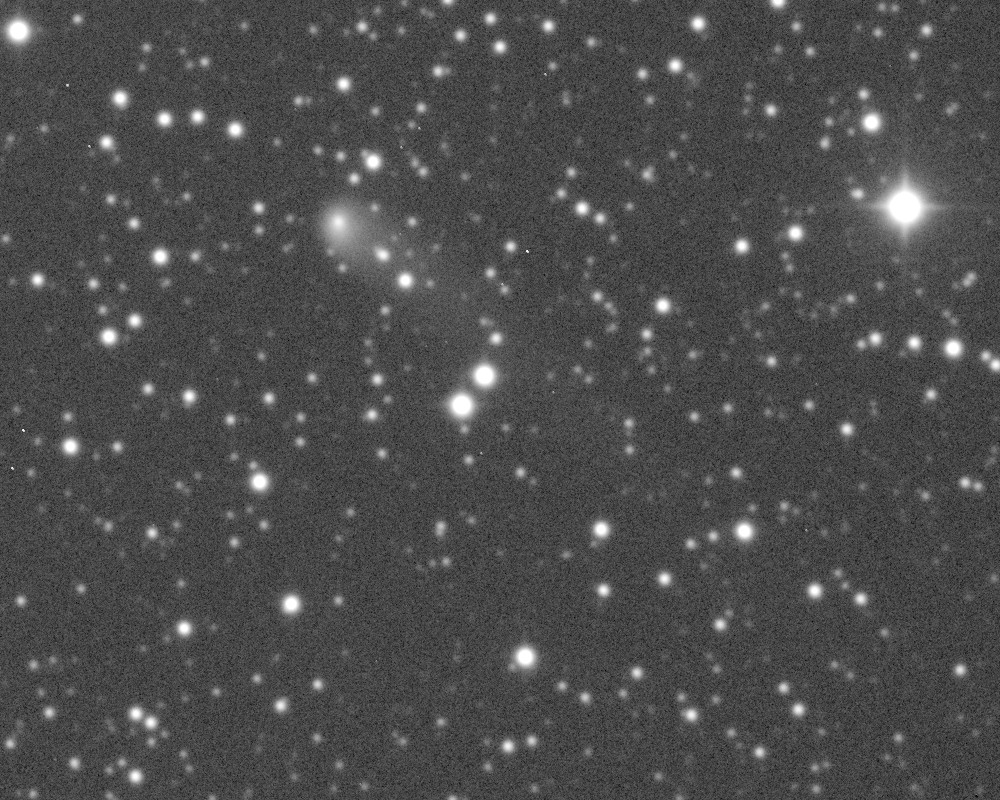 Copyright Francois Kugel