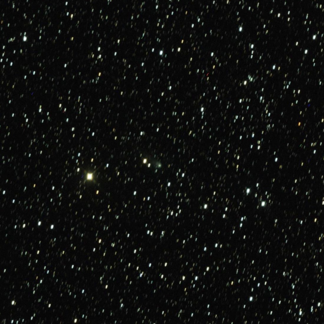 Copyright Daniel Lamirel