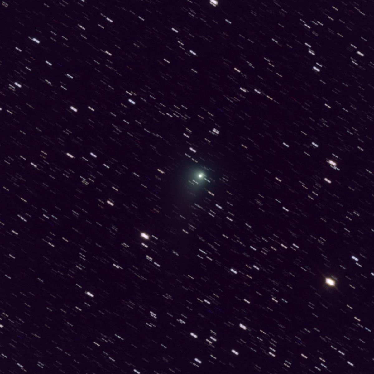 Copyright Daniel Lamirel