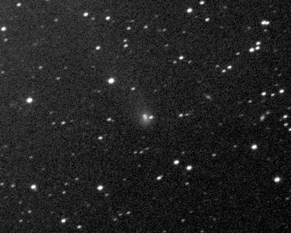 Copyright Francois Kugel