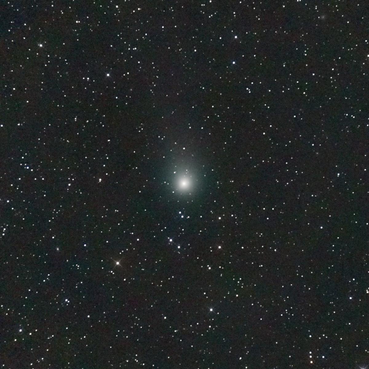 Copyright Nicolas Biver