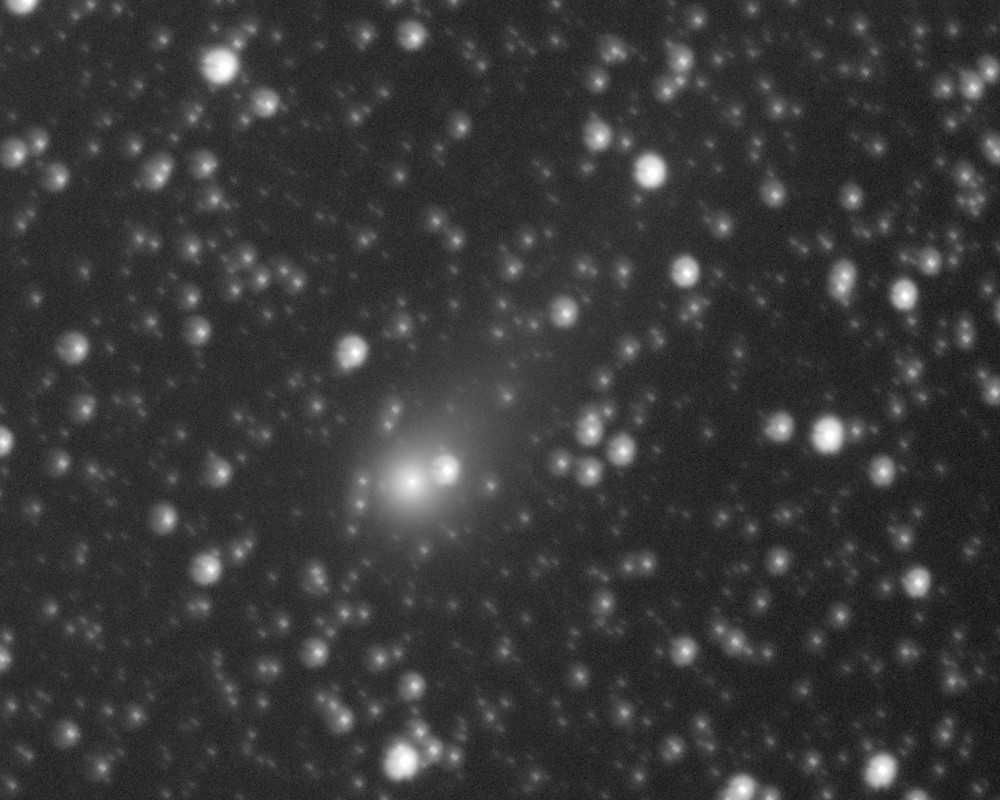 Copyright Francois Kugel