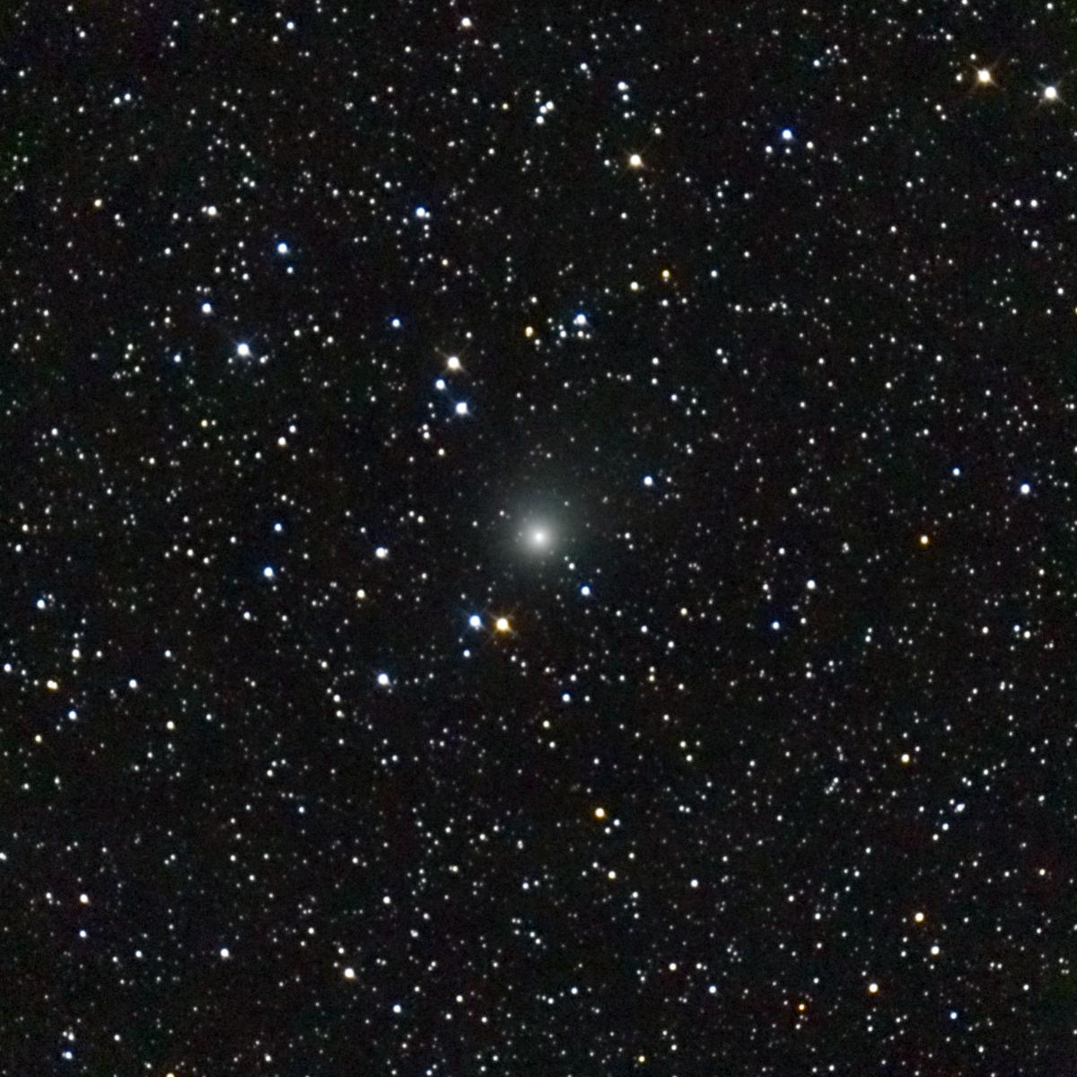 Copyright Nicolas Biver