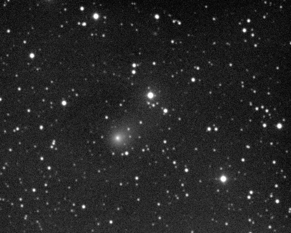 Copyright Francois Kugel