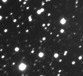 Copyright Joel Nicolas