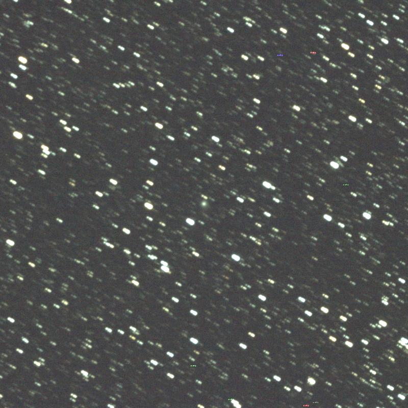 Copyright Daniel Lamirel