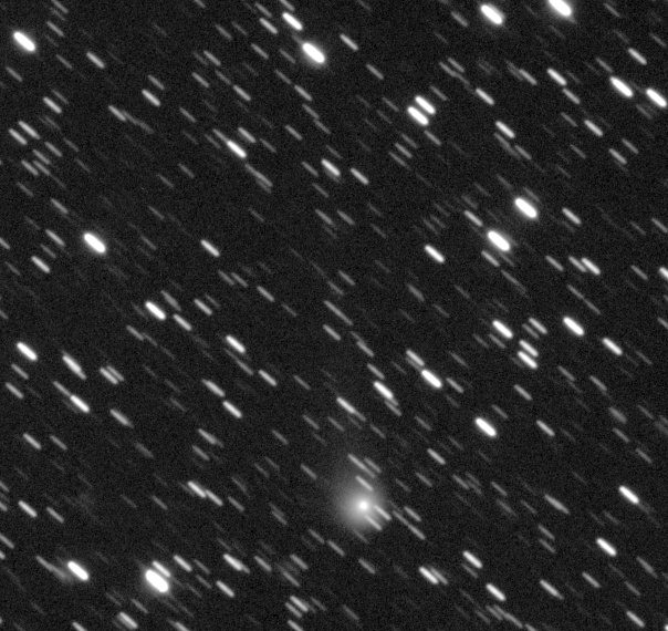 Copyright Patrick Ditz