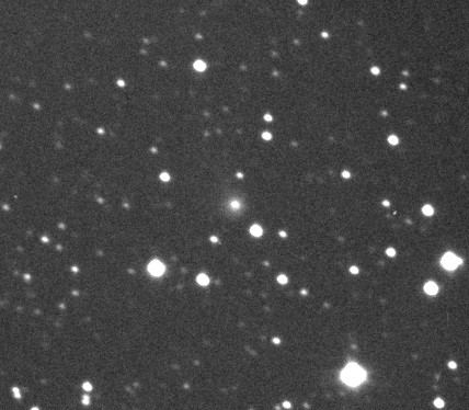 Copyright Joel Nicolas