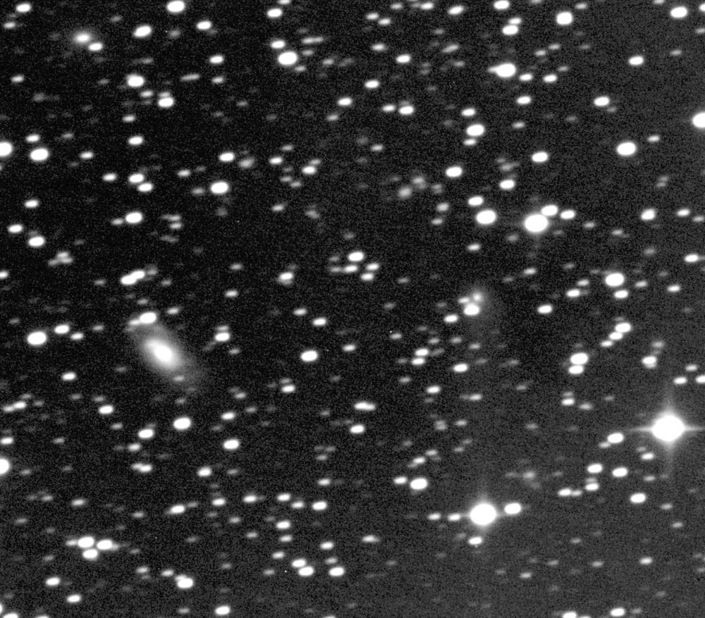 Copyright Patrick Ditz