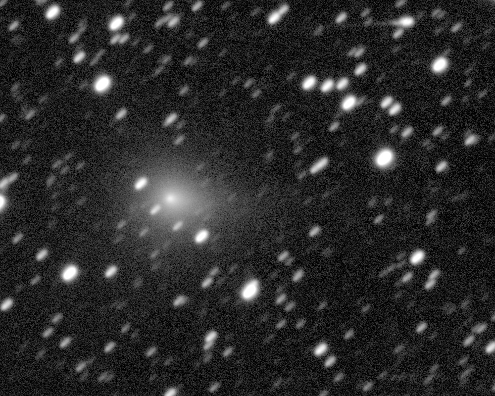 Copyright Francois Kugel