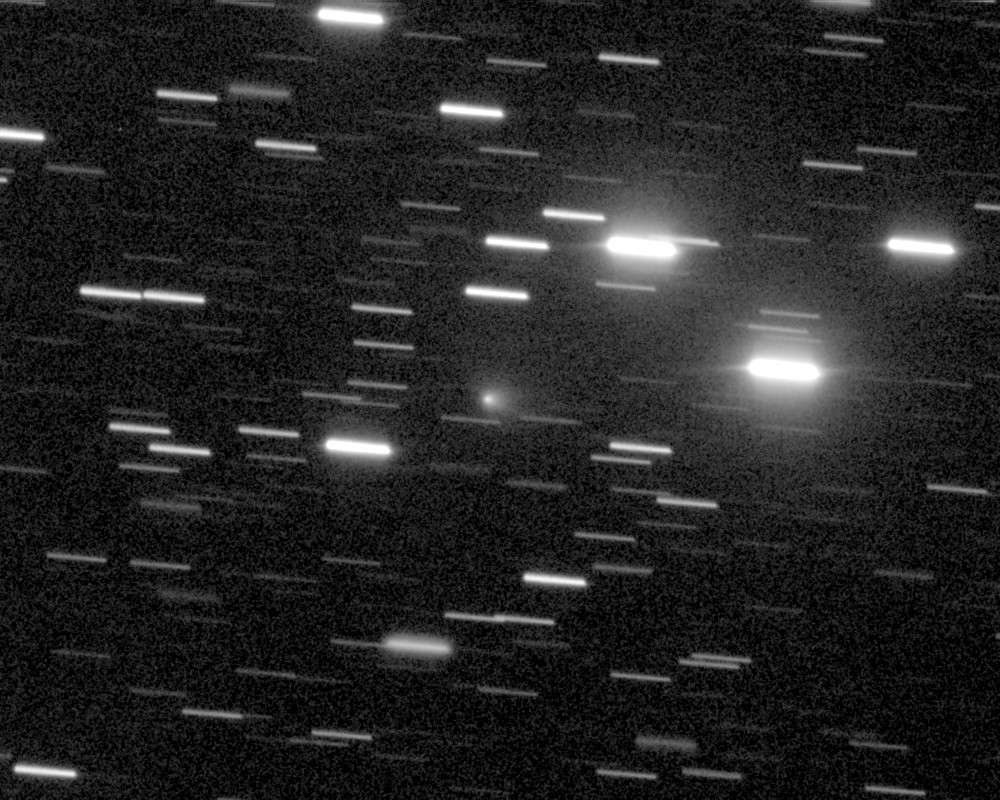 Copyright Francois Kugel