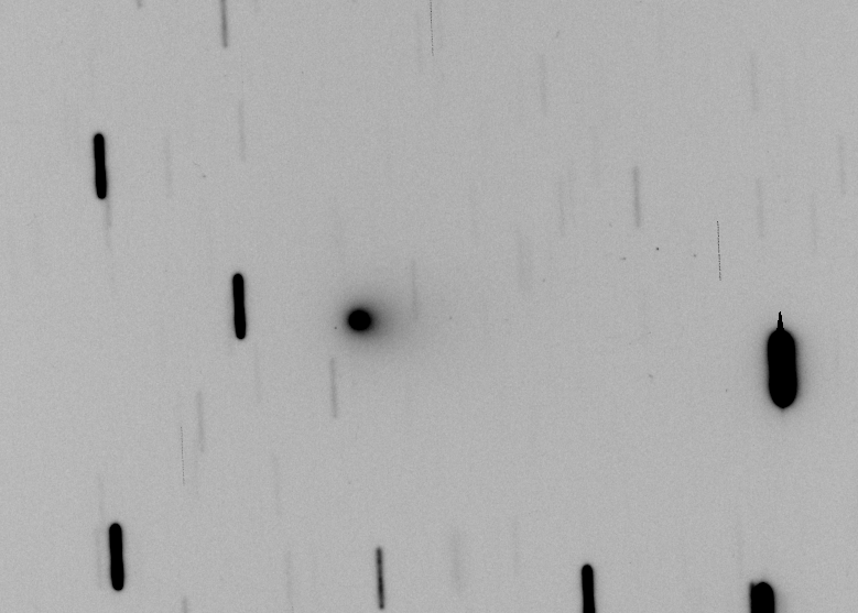 Copyright Marc Deldem