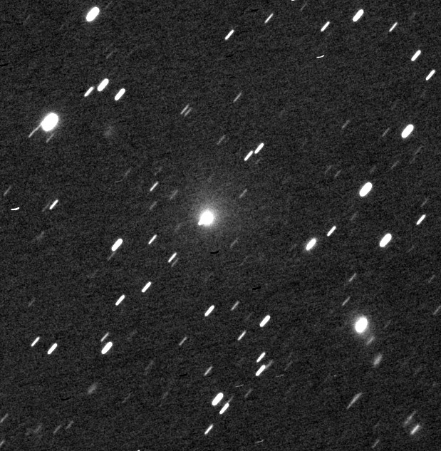 Copyright Michael Irzyk