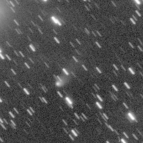 Copyright Francois Kugel