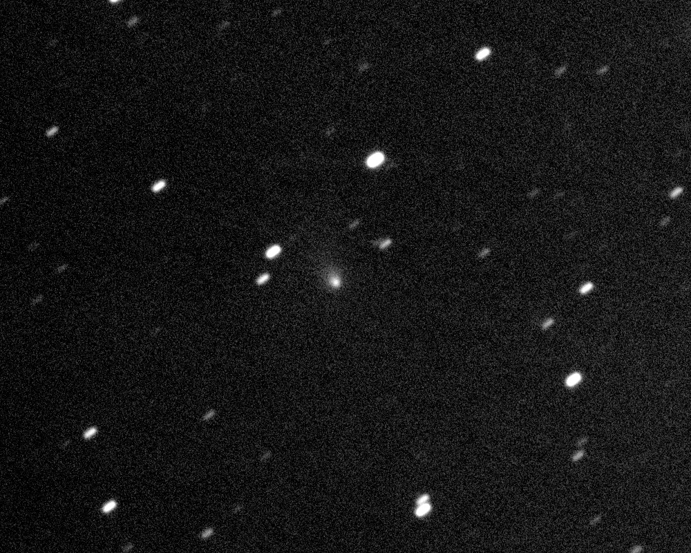 Copyright Francois Kugel