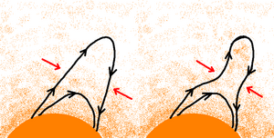 Fig. 1 : Gel du champ
