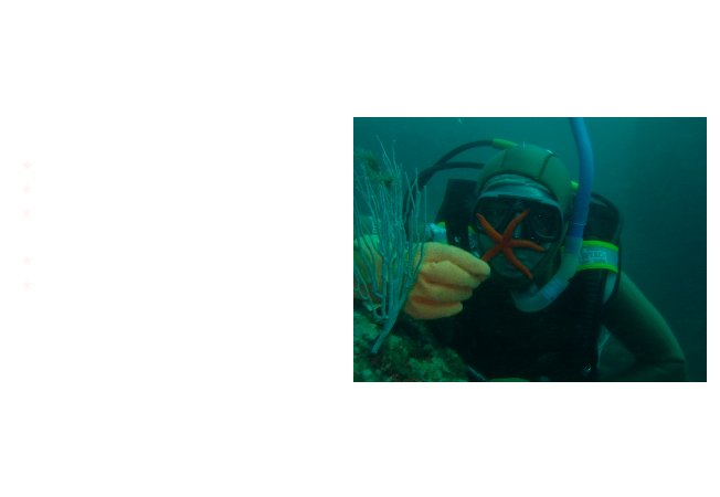 Marseille est maintenant à 3h30 de Paris. Il est donc tout à fait pensable de s'y rendre lors d'un week-end un peu prolongé !

Ma première impression : tout comme la géographie l'indique, les plongées ont des caractéristiques￼ entre celles des Canaries et de la Bretagne :

Profondeur moyenne (20-30m);
Visibilité 10-15m;
Eau encore fraîche :15-17º à peu près toute l'année;
Une flore impressionnante;
Des poissons craintifs encore;

Apparemment, on peut plonger toute l'année, mais l'eau reste fraîche : en effet, il semble que la température de l'eau soit régulé par les courants entrant par le détroit de Gibraltar (donc de l'atlantique).  

Des centaines de sites de plongée ! Rien de tel qu'un bon guide local (Merci Joel !)...