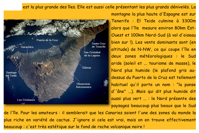 Tenerife est la plus grande des îles. Elle est aussi celle présentant les plus grands dénivelés. La montagne la plus haute d'Espagne est sur Tenerife : El Teide culmine à 3300m alors que l'île  ￼mesure environ 80km Est-Ouest et 100km Nord-Sud (à vol d'oiseau bien sur !). Les vents dominants sont (en altitude) de N-NW, ce qui coupe l'île en deux zones météorologiques : le Sud aride (soleil et ... tourisme de masse), le Nord plus humide (le plafond gris au-dessus du Puerto de la Cruz est tellement habituel qu'il porte un nom : "la panse d''âne" ...). Mais qui dit plus humide dit aussi plus vert ... : le Nord présente des paysages beaucoup plus beaux que le Sud de l'île. Pour les amateurs : il semblerait que les Canaries soient l'une des zones du monde la plus riche en variété de cactus. J'ignore si cela est vrai, mais on en trouve effectivement beaucoup : c'est très estétique sur le fond de roche volcanique noire !  