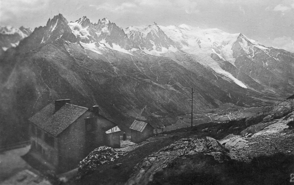 Flegerea