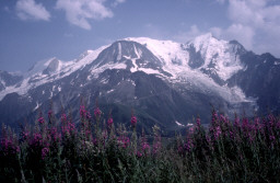 Permet de se rendre sur une image en cliquant