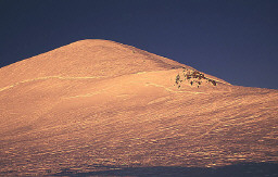 Permet de se rendre sur une image en cliquant