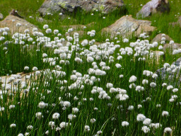 Permet de se rendre sur une image en cliquant