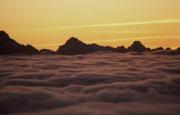 Permet de se rendre sur une image en cliquant