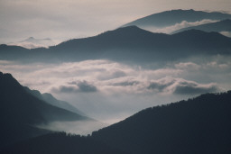 Permet de se rendre sur une image en cliquant