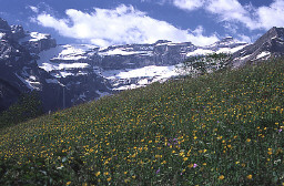 Permet de se rendre sur une image en cliquant