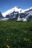 Permet de se rendre sur une image en cliquant