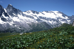 Permet de se rendre sur une image en cliquant