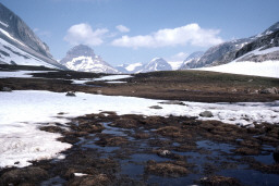 Permet de se rendre sur une image en cliquant