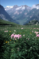 Permet de se rendre sur une image en cliquant