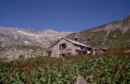 Permet de se rendre sur une image en cliquant