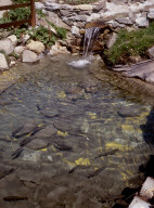 Permet de se rendre sur une image en cliquant