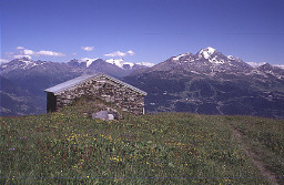 Permet de se rendre sur une image en cliquant