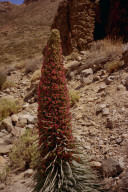 Permet de se rendre sur une image en cliquant