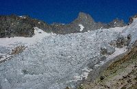cliquez ici pour voir l'image (Triolet2.jpg)