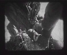 Permet de se rendre sur une image en cliquant